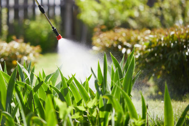 24/7 Emergency Cockroach Control experts in Luling, TX