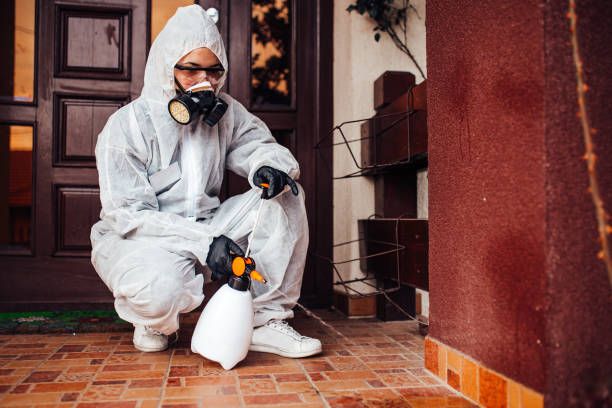 Reliable Cockroach Control contractor in Luling, TX by Nex Pest Control